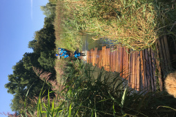 image00007.jpeg